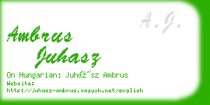 ambrus juhasz business card